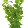 Plastplante Moneywort 20cm