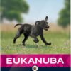 EUKANUBA Puppy Large Breed Kylling 15kg