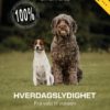 Hverdagslydighet fra valp til voksen - bok fra Siddis Hundeskole