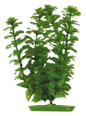 Ambulia Plastplante 30cm