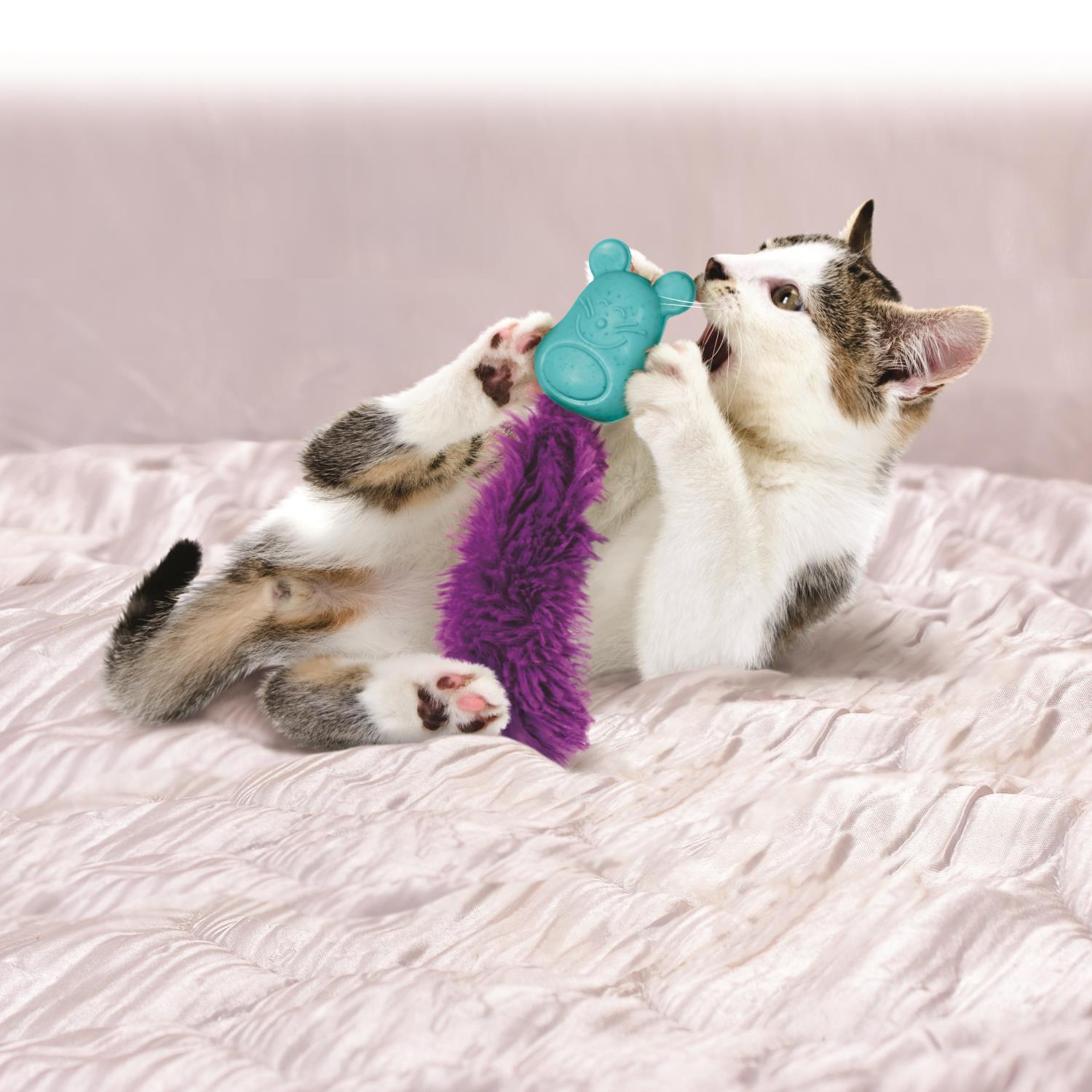 KONG Cat Infused Bobble Mouse, assorteret, CA429E | Vilkårlig farge