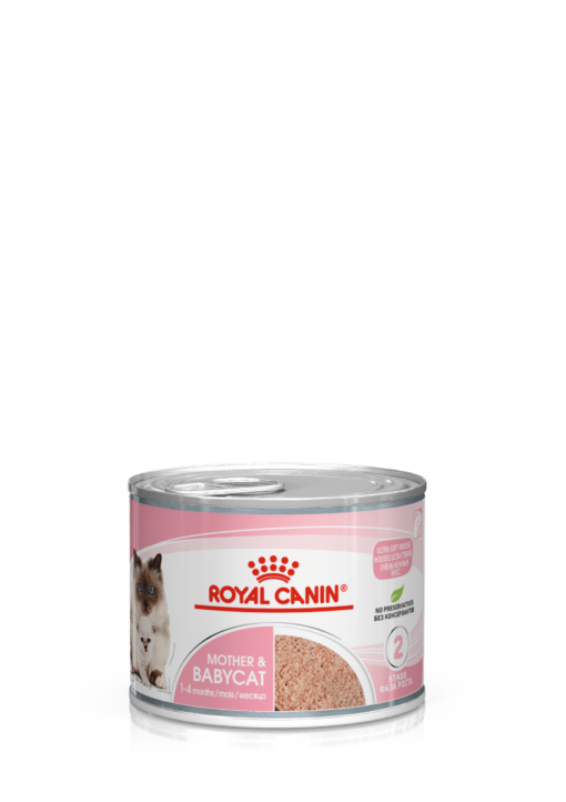 Royal Canin Mother & Babycat Mousse 12x195g