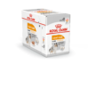 Royal Canin Coat Care wet 12x85g