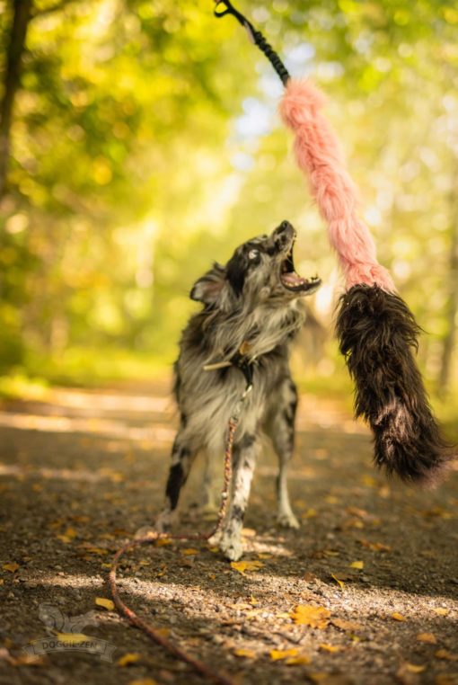 Doggie-Zen Elastisk Jaktleke / Belønningsleke fuskepels - og saueskinn L | Vilkårlig farge