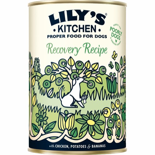 Lilys Kitchen Recovery Recipe 400g