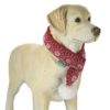 Juleskjerf til hund , One Size