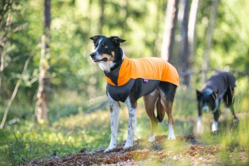 JumppaPomppa Orange | Flere størrelser (37-48)