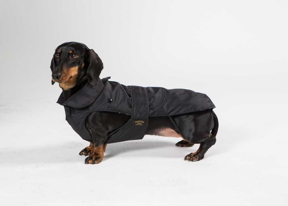 Fashion Dog Regndekken til Dachs med avtagbart fôr, Sort | Flere størrelser (33-47),
