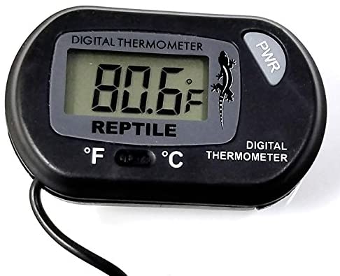 Pangea digital termometer