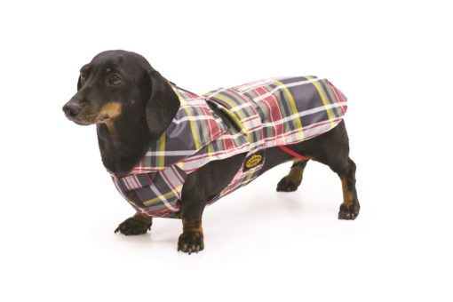 Fashion Dog Regndekken til Dachs, Tartan | Flere størrelser (33-47)  U