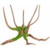 Zolux Kipouss Spider Root M With Live Plant Seeds