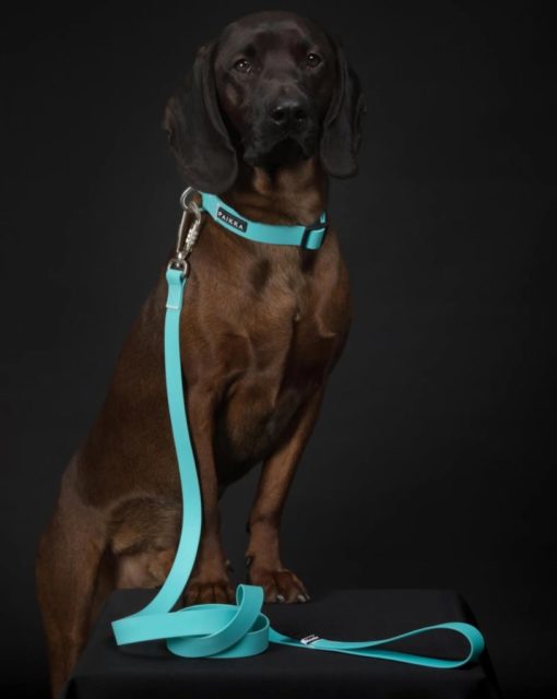 PAIKKA Glow Leash aqua  2,5 x180cm