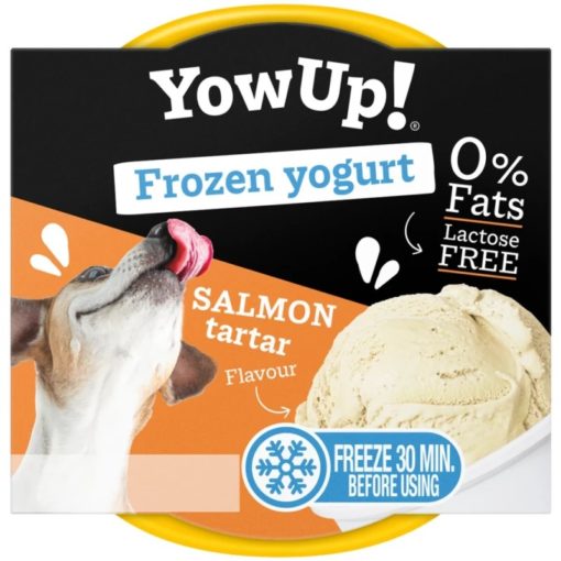 YowUp! Frossen Yoghurt Laksetartar