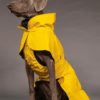 PAIKKA Visibility Raincoat Lite yellow | Flere størrelser (35-65)