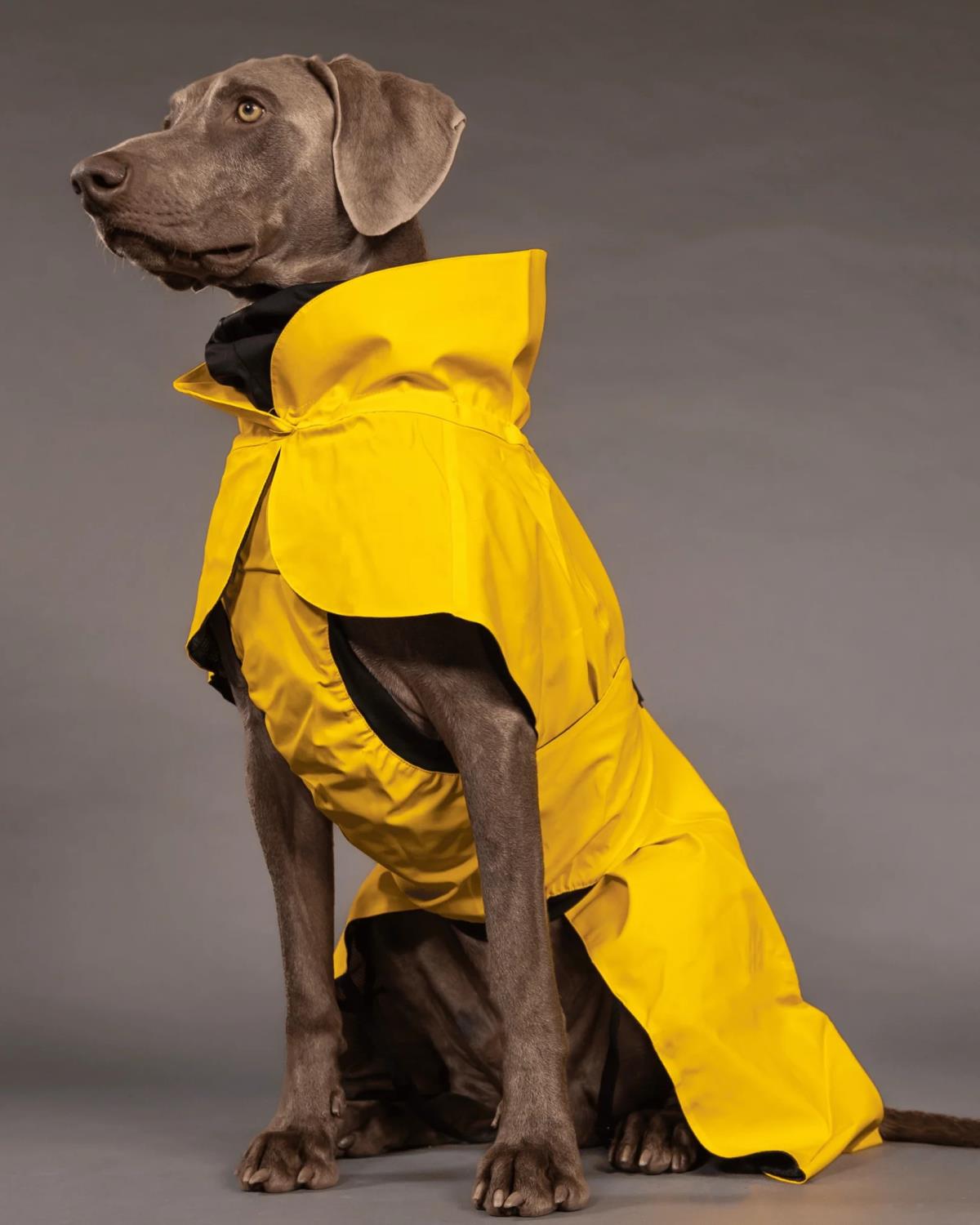 PAIKKA Visibility Raincoat Lite yellow | Flere størrelser (35-65)