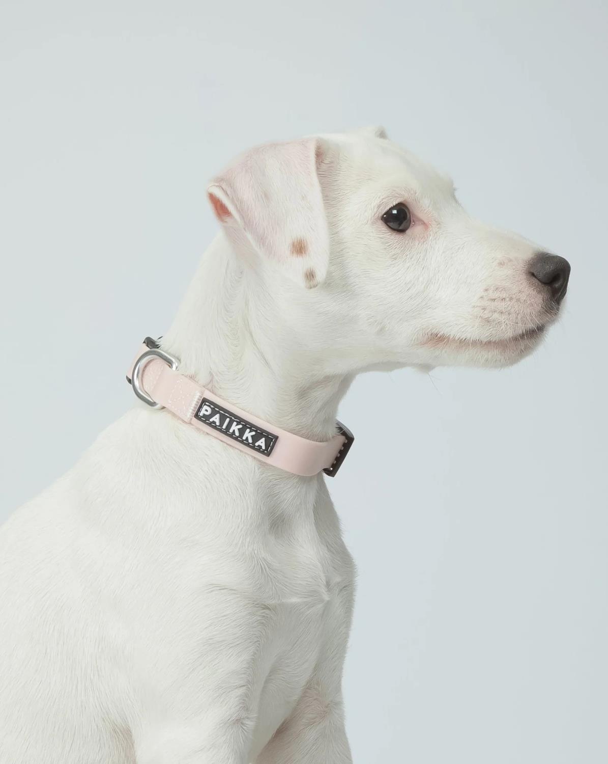 PAIKKA Glow Collar pale pink 1,5x23-30cm