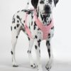 PAIKKA Visibility Harness pink | Flere størrelser (XS-XL)