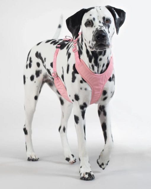 PAIKKA Visibility Harness pink | Flere størrelser (XS-XL)