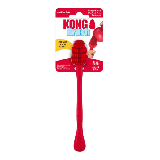 KONG Brush EU