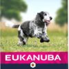 EUKANUBA Senior Medium Breed kylling, 15 kg