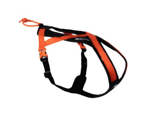 Non-stop Rush harness, unisex, black/orange | Flere størrelser