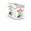 Royal Canin Digestive Care wet 85g