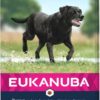 EUKANUBA Mature Large Breed kylling 15 kg