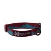 Non-Stop Trail Quest Collar Sunrise Teal/Wine | Flere størrelser