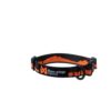 Non-Stop Trail Quest Collar Sunset Orange/Black  | Flere størrelser