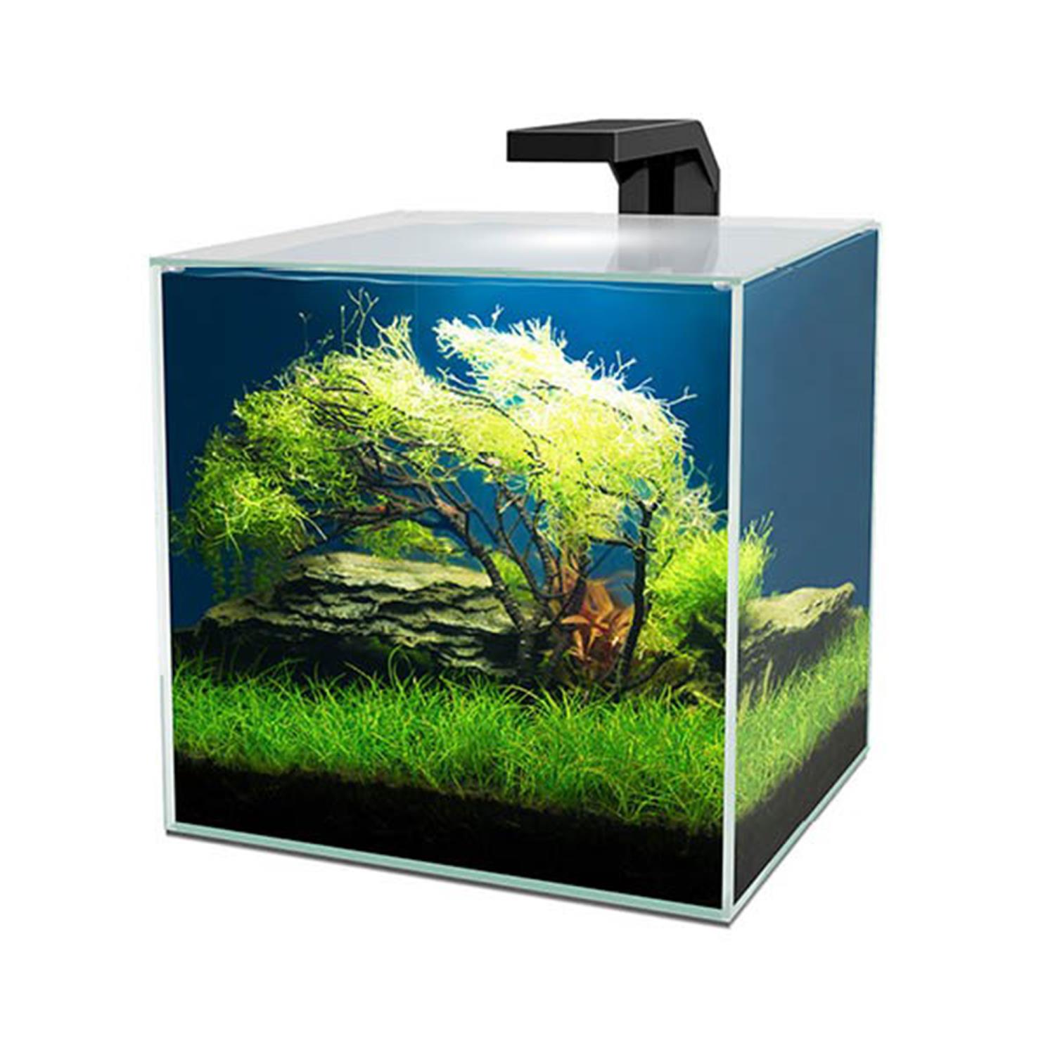 Akvarium Cube 15 Clear Ciano, 15 liter 25x25x25 cm