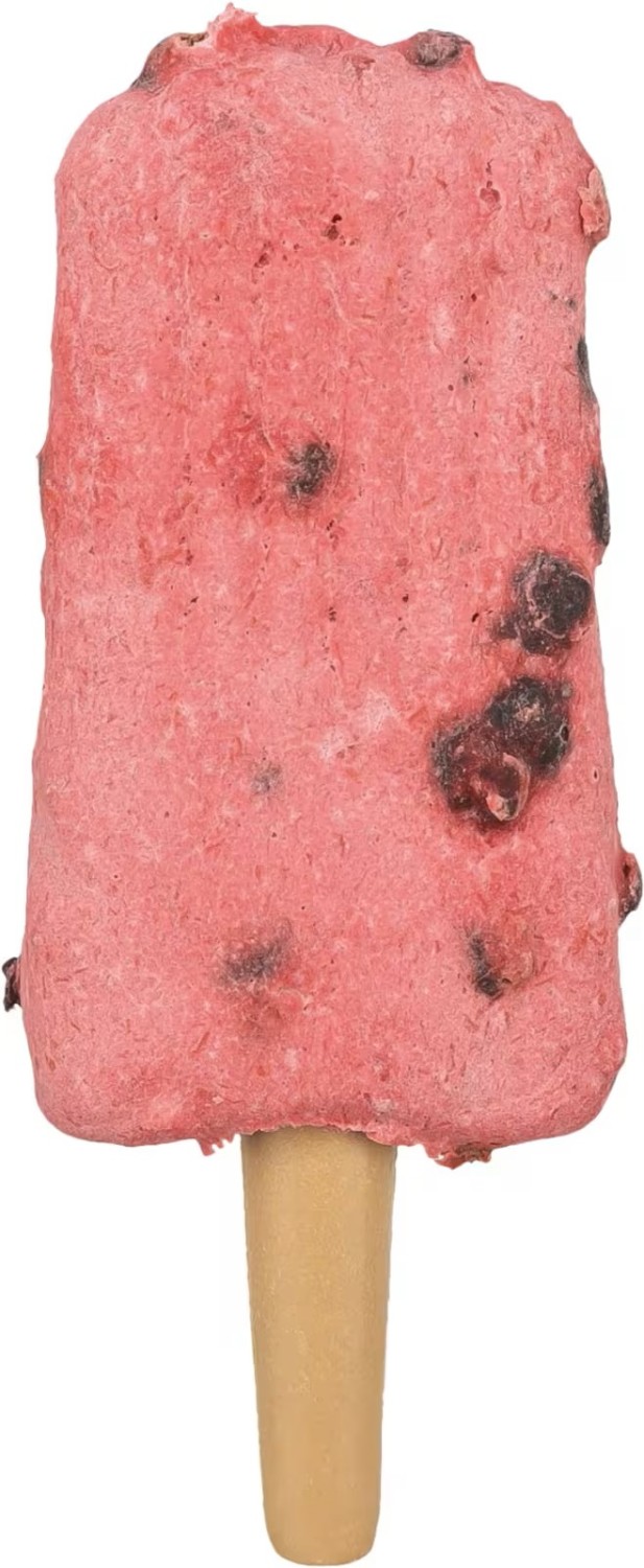 Ice Pop Grønn m/Kylling 55g