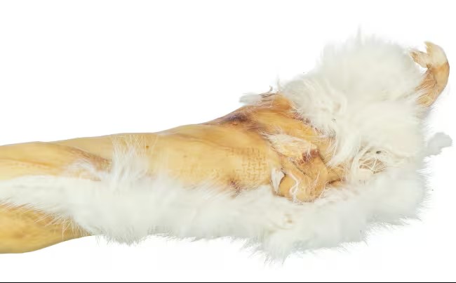 gallery-9682-for-27157