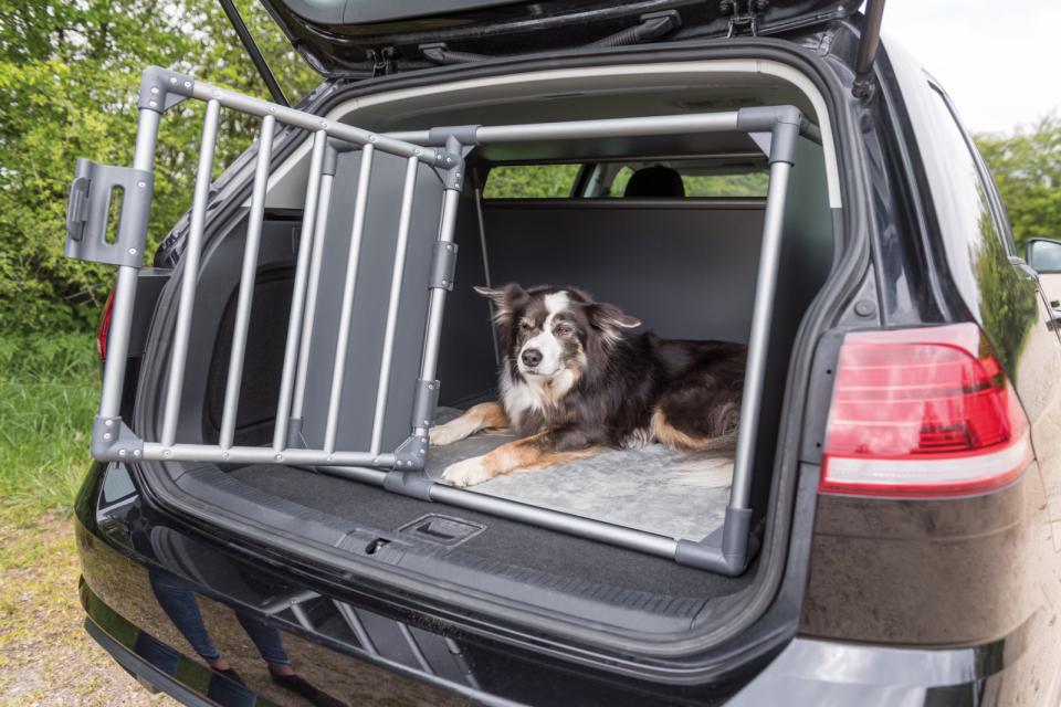 gallery-9710-for-TX39338