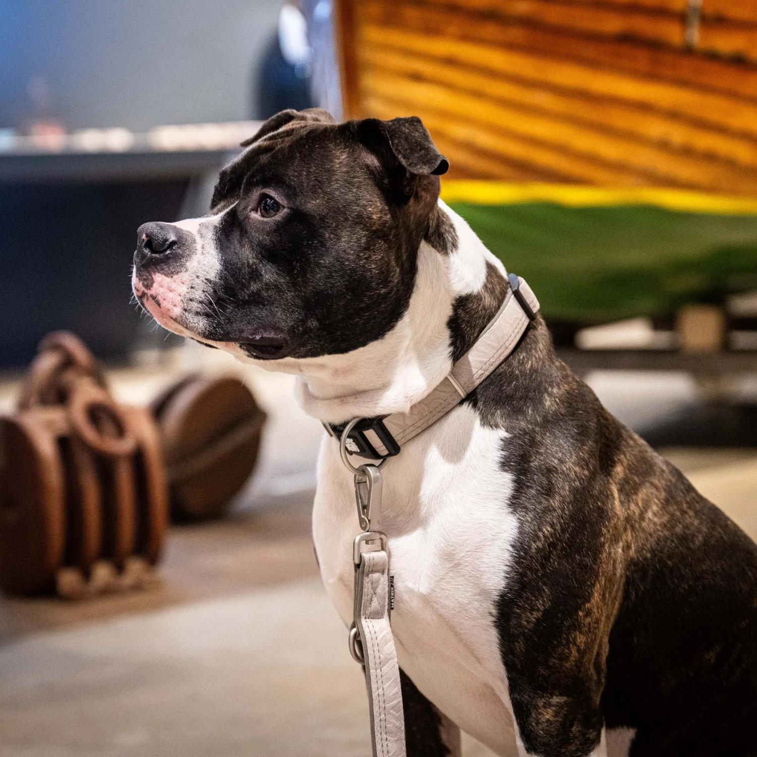 gallery-4841-for-301081