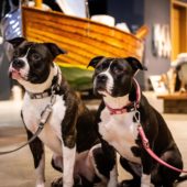 gallery-4842-for-301081