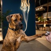 gallery-4843-for-301081