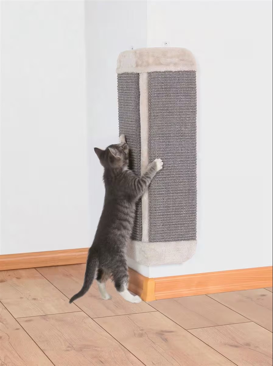 gallery-9856-for-43435