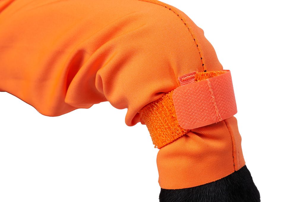 gallery-9970-for-4535