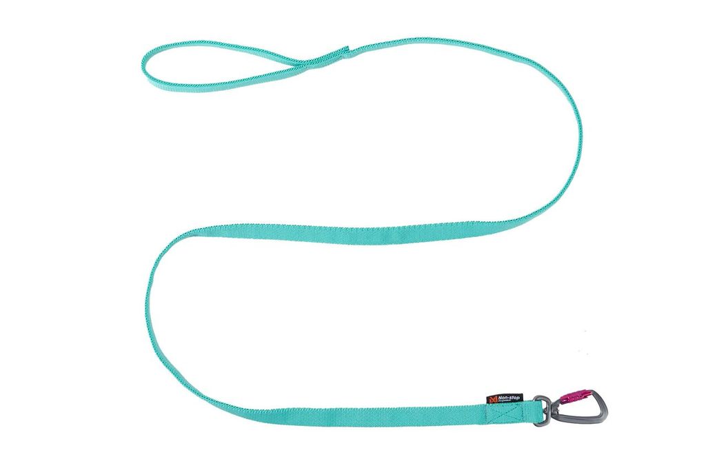 Non-Stop Bungee leash, unisex, aqua, 2m