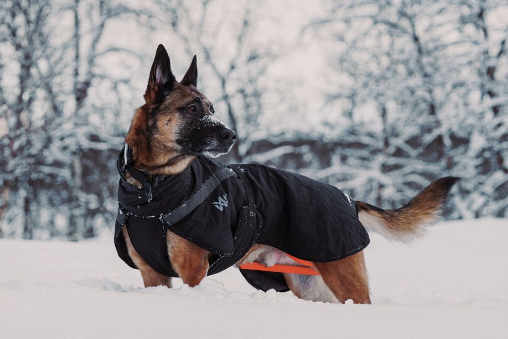 gallery-9997-for-N3273