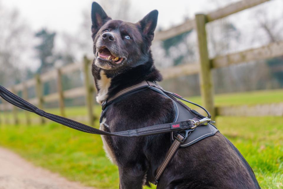 gallery-10139-for-H144018