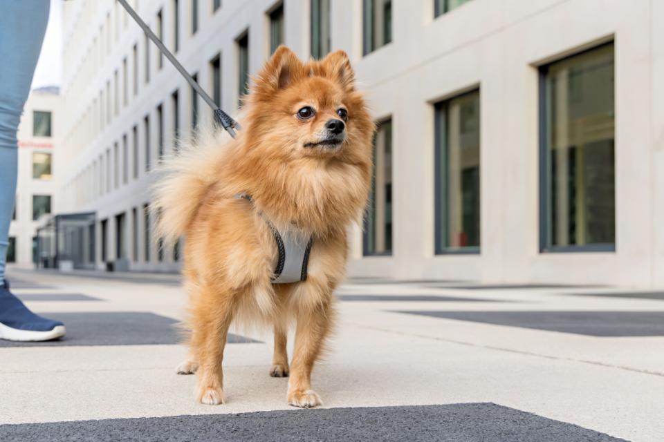 gallery-10154-for-H10356