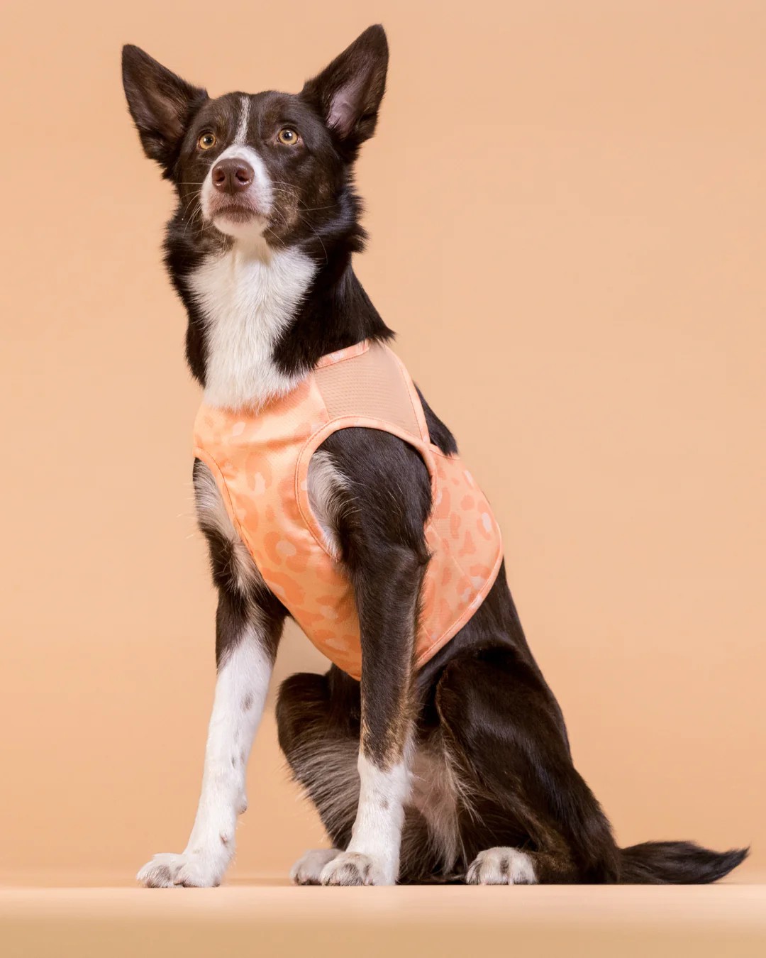 PAIKKA Cool Vest Snow Leo | Flere størrelser (XXS-L)