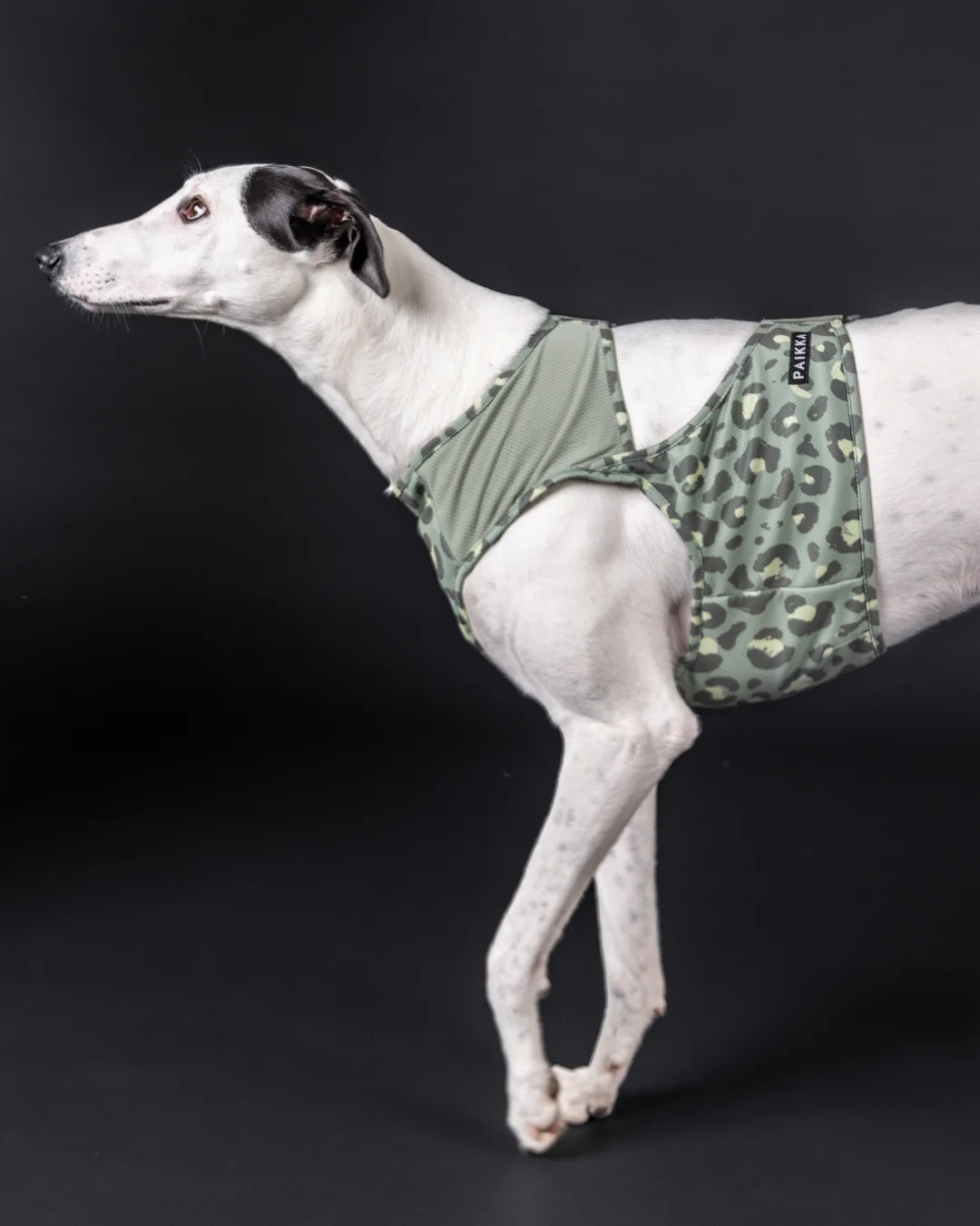 PAIKKA Cool Vest Green Leo | Flere størrelser (XXS-L)