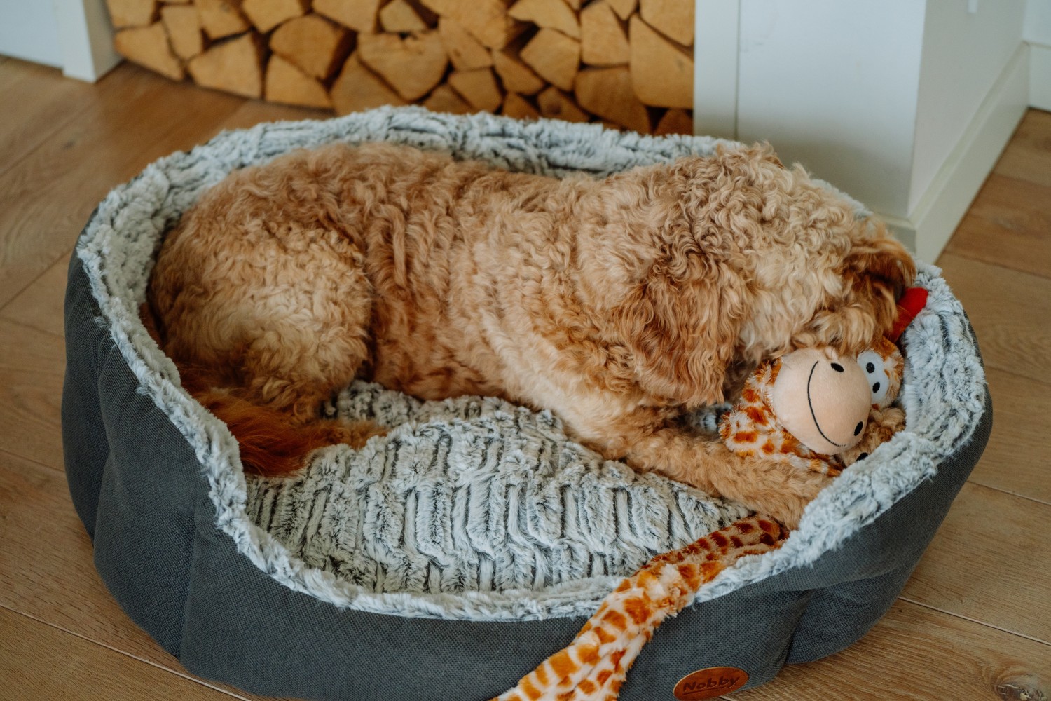 gallery-10260-for-60515