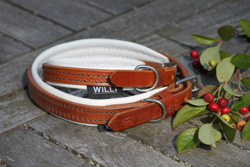 gallery-10358-for-615490-1501-2