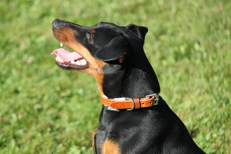 gallery-10360-for-615490-1501-1