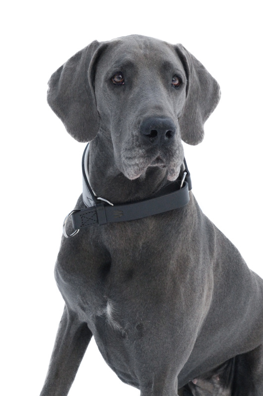 gallery-10365-for-615502-9901-2