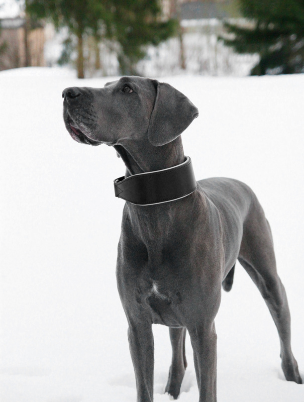 gallery-10368-for-615502-9901-3