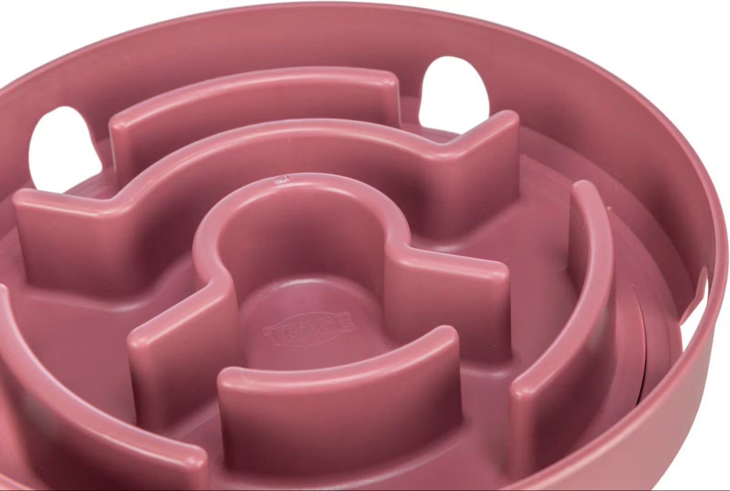 gallery-10501-for-45933